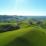 Fotografia Dronowa – Jak Wybrać Najlepszy Dron?