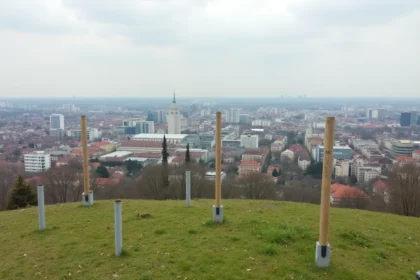 Geodezja Rzeszów – Usługi, Zadania i Aktualności w Branży