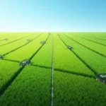 Miary gruntów – Co to jest i dlaczego są ważne?